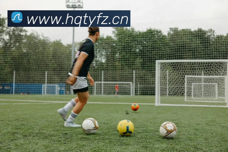 App Interface Preview